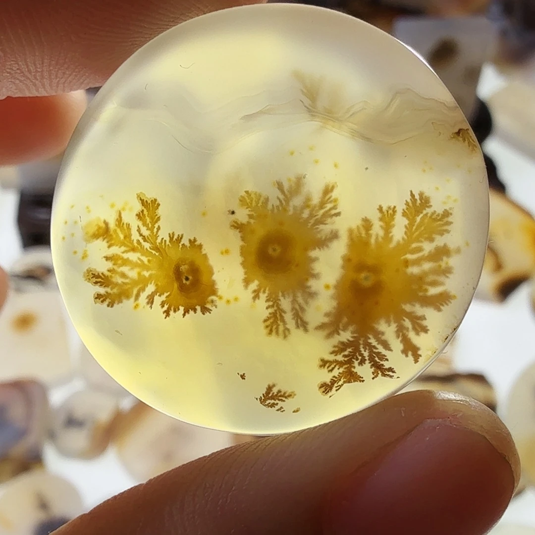 玛瑙/玉髓未镶嵌珠宝半成品