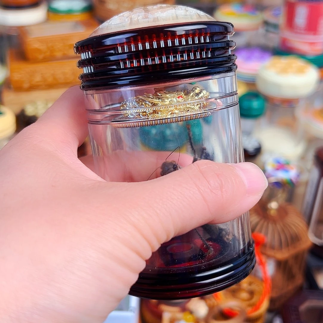 木茶色蒙心款➕龙簧➕铁皮新脱