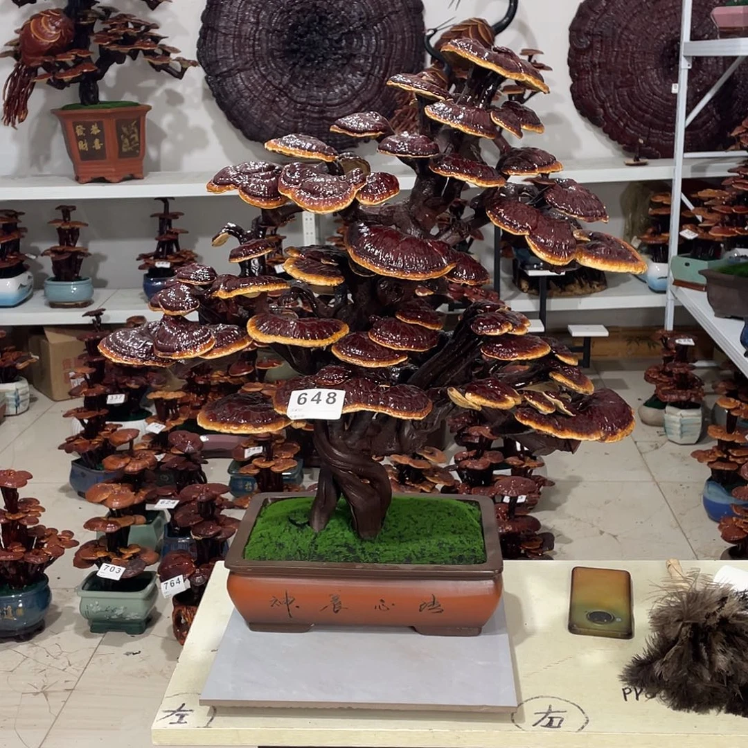 无花朵8888888888888