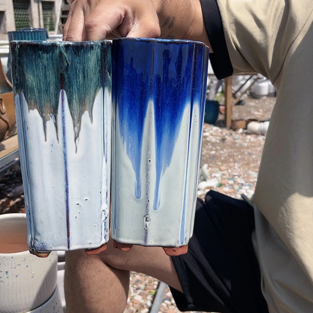 王嫂花盆直播0425-380