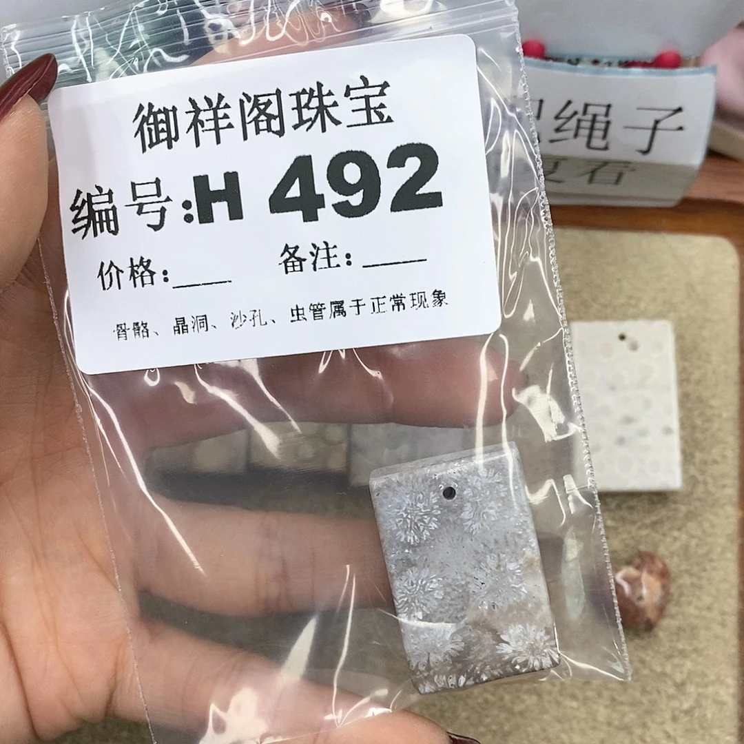硅化珊瑚（珊瑚玉）H未镶嵌s***月