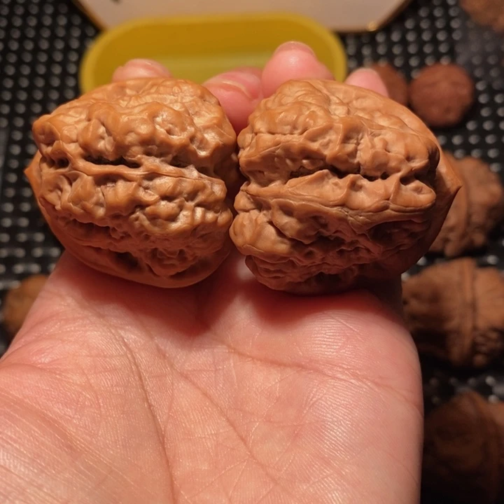 文玩核桃把件三角箭毒蛙王
