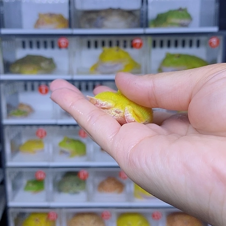 特价秒杀现货特价残