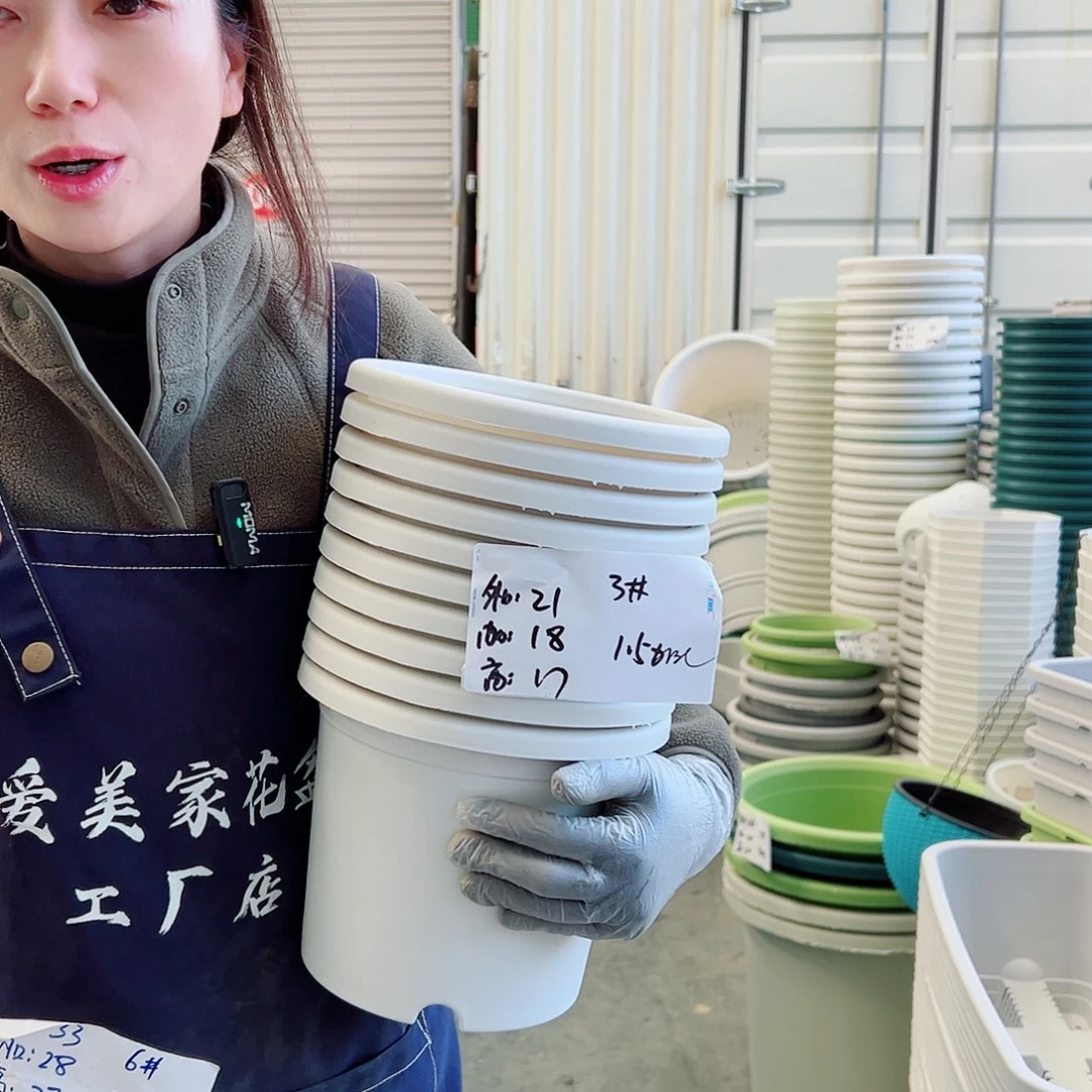 四季盆3#白色10个无托