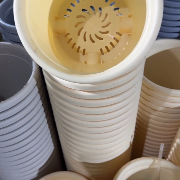 四季2号米黄无拖10个