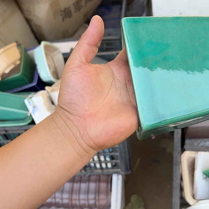 在这里我们都有很多话需要