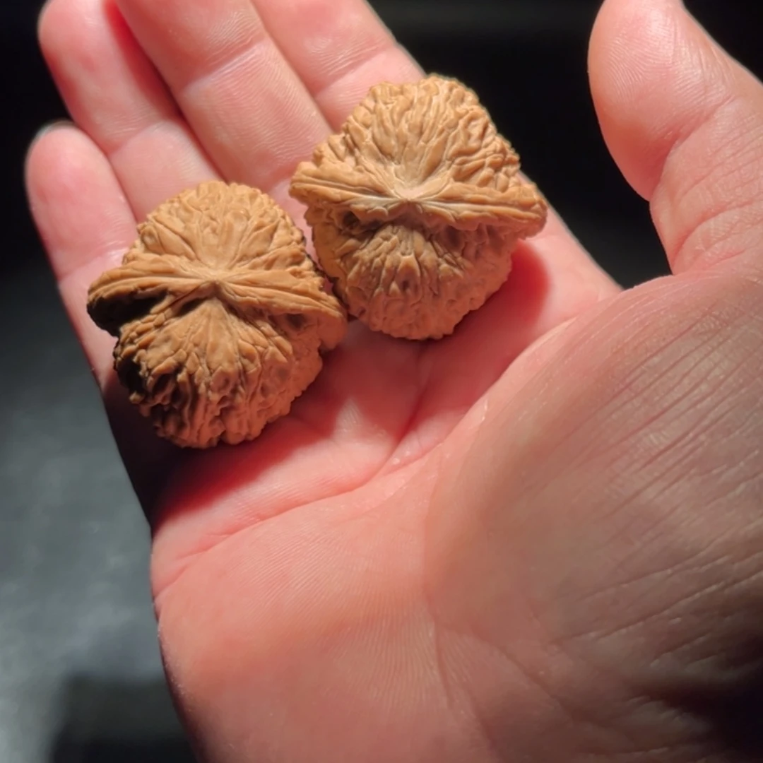 【闪购商品】钱****_文玩核桃木制手把件