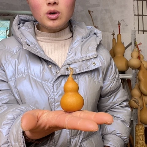 M****o天然植物葫芦文玩