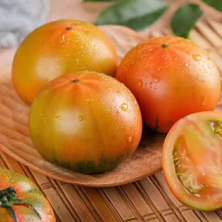 【大红】五斤顺丰包邮盘锦碱地柿子、