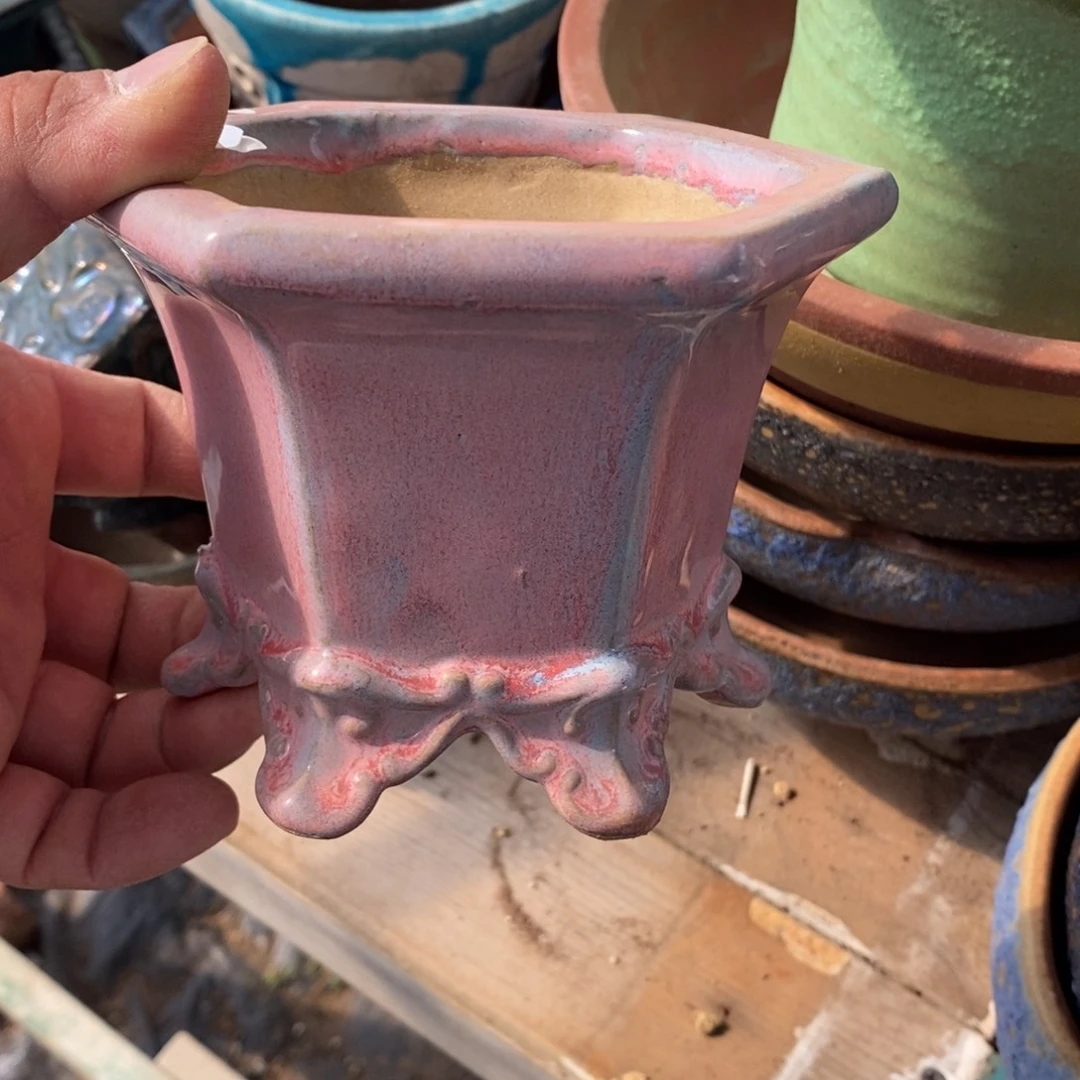 15号东云花盆内10.5高10