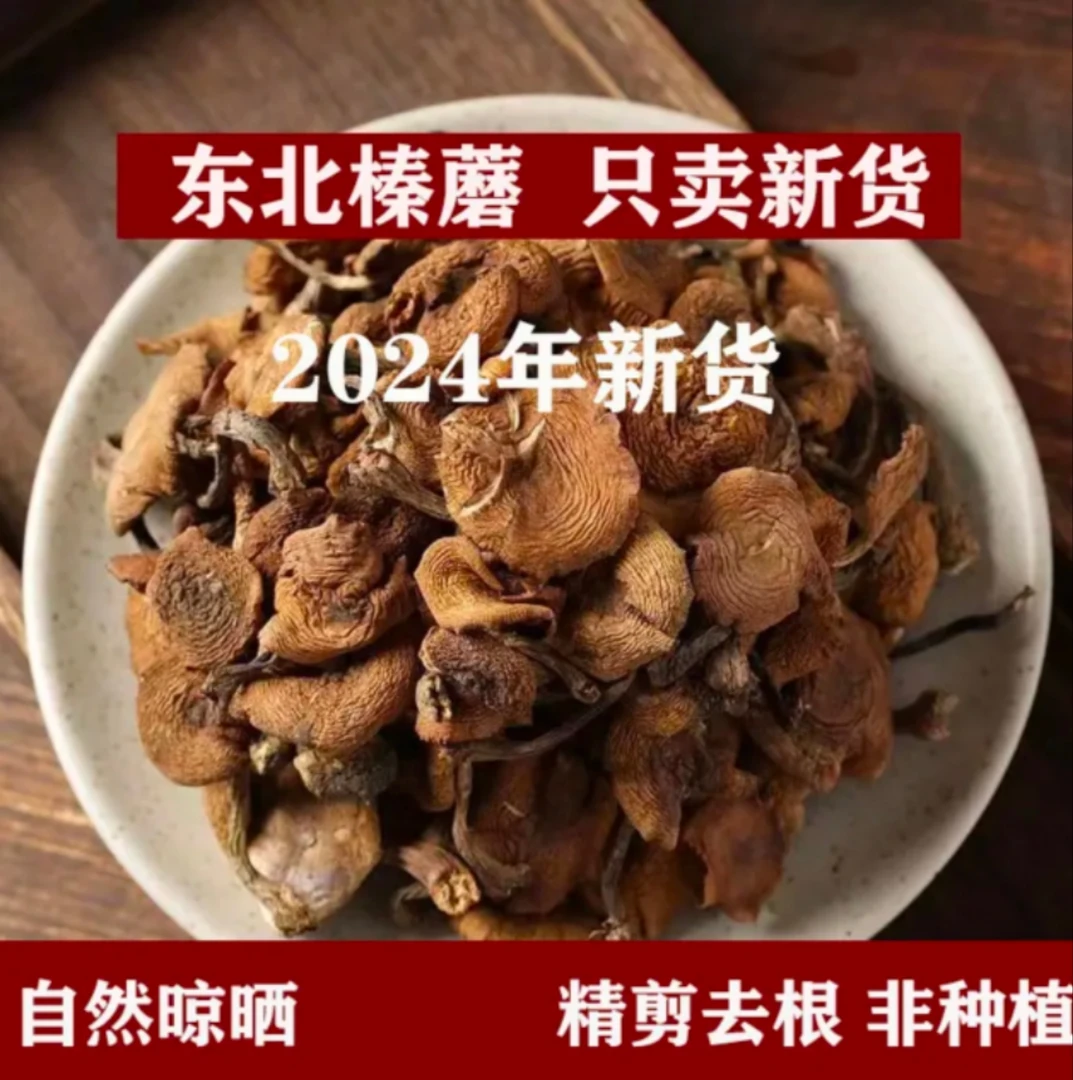 东北野生榛蘑（2024年新货）黑龙江山货土特产250g/500g