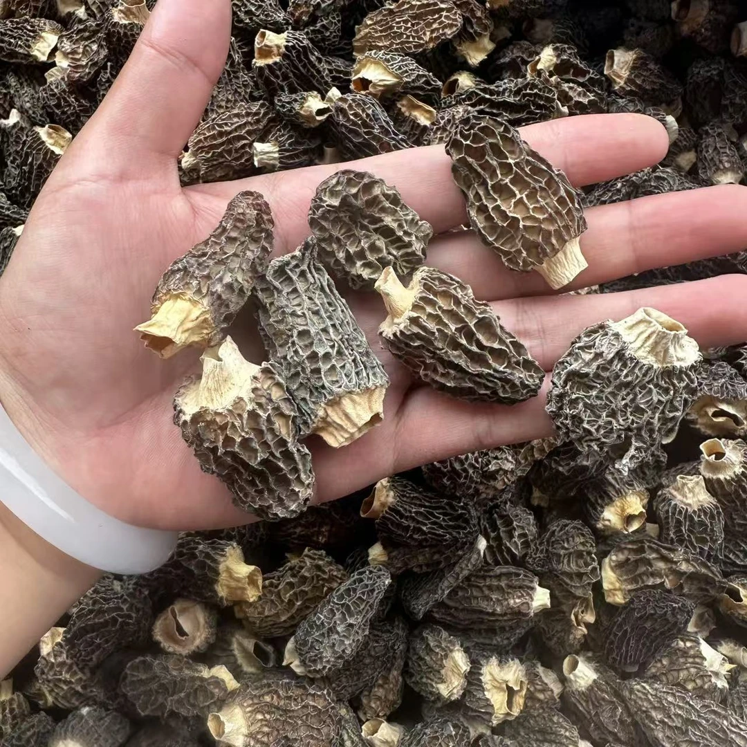 【益娜娜专属】羊肚菌 100g