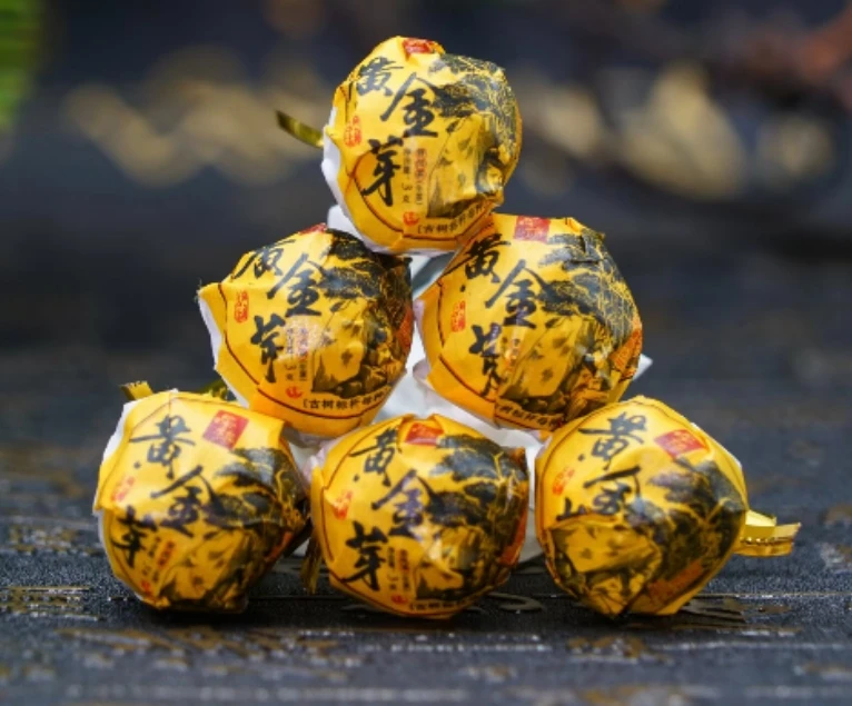 2021年 品祷 黄金芽龙珠 古树标杆母种龙珠  普洱生茶