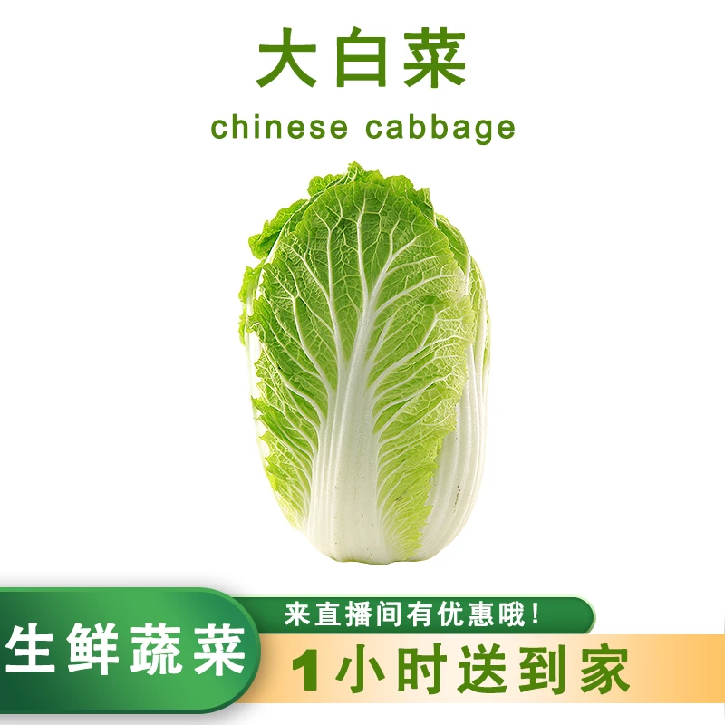 大白菜 3斤左右