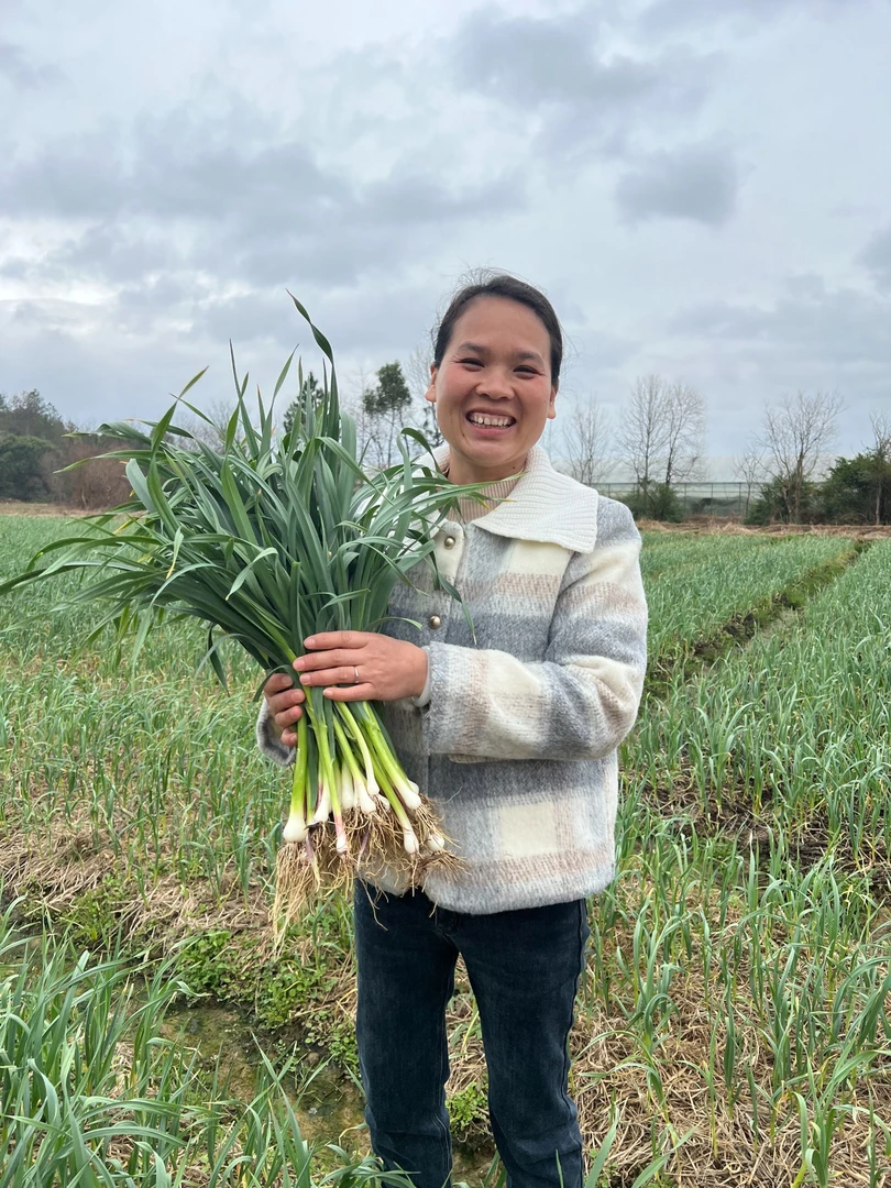农家自种3斤现挖新鲜红根蒜苗应季蔬菜