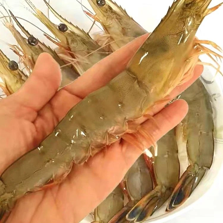 【顺丰包邮】盐冻大虾30-40