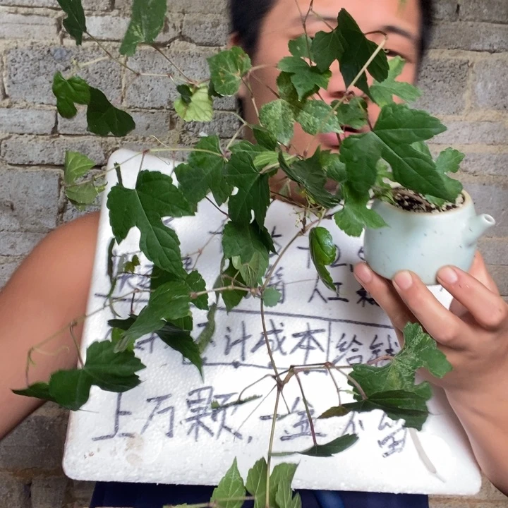 退款拉黑一物一拍112