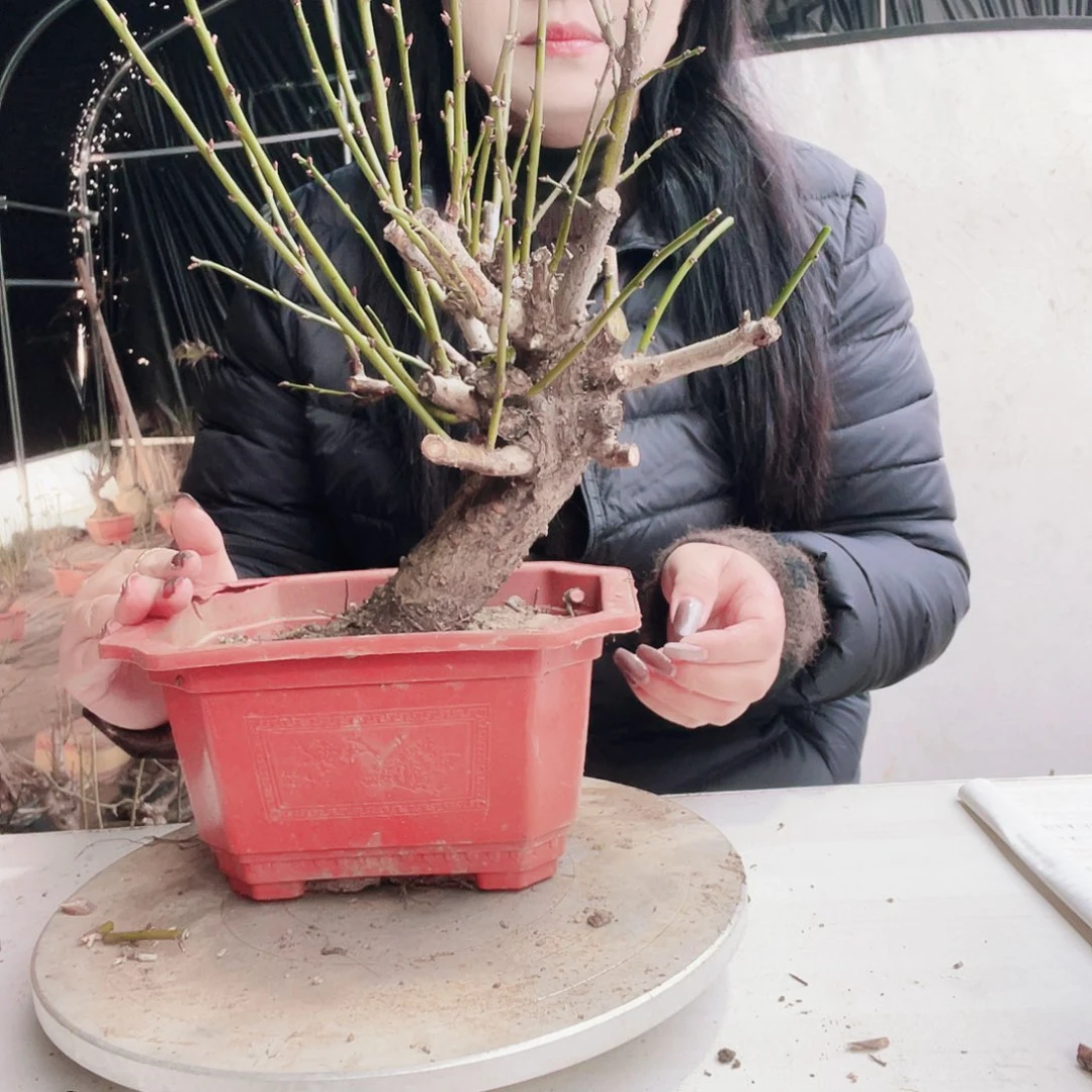 手工艺品琉璃春****1