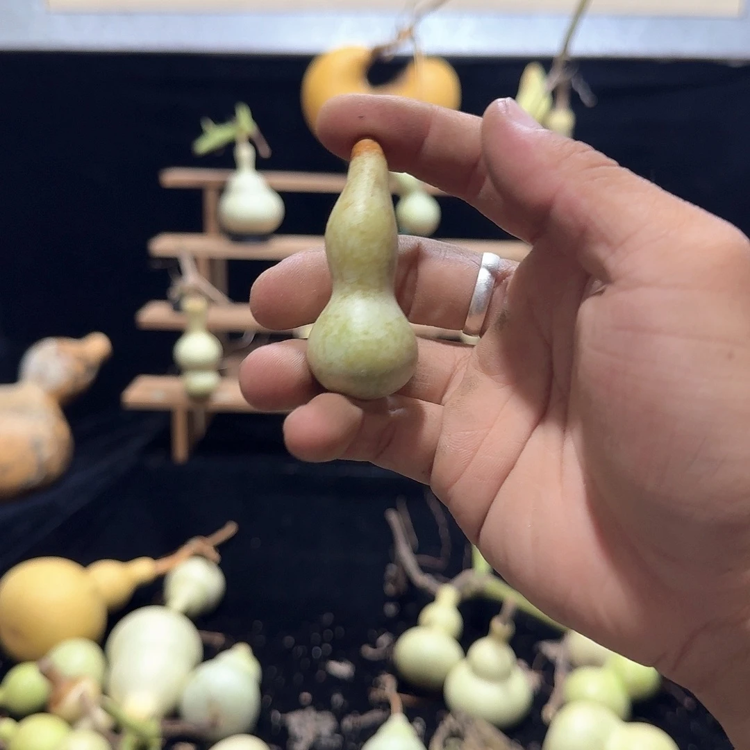 简***我定向定向定向定向