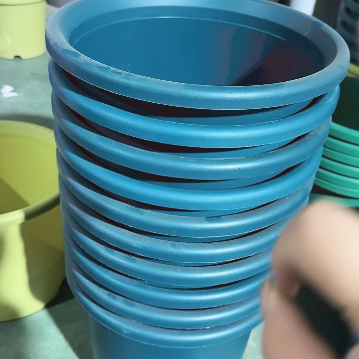 编号编号编号2405