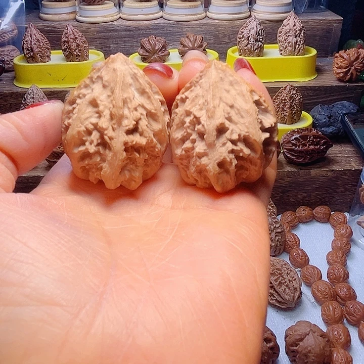 核桃57告别，放漏漏咯走咯