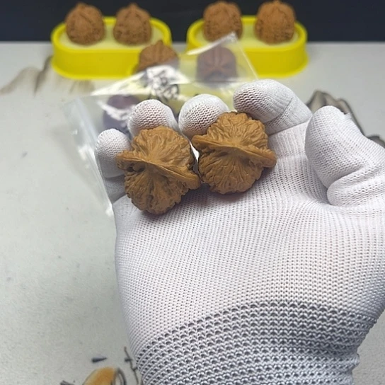 核桃核桃等经济作物的栽培技术研究和