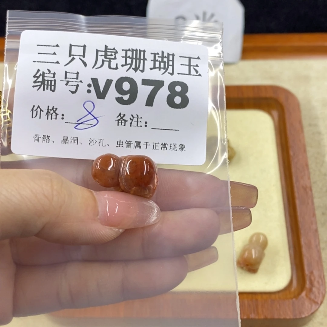 硅化珊瑚（珊瑚玉）未镶嵌1Q***n