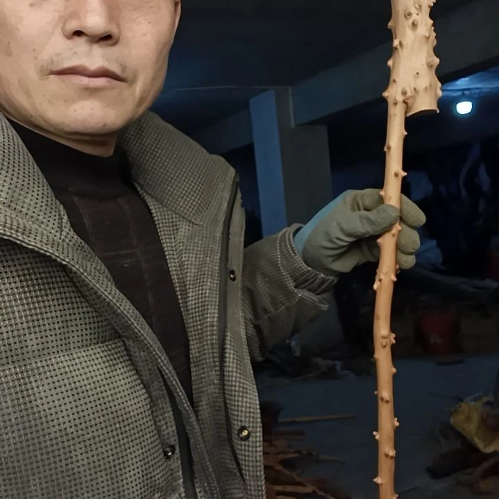 稳定木平***1贵州檬子木   铁马鞭   根艺  半成品
