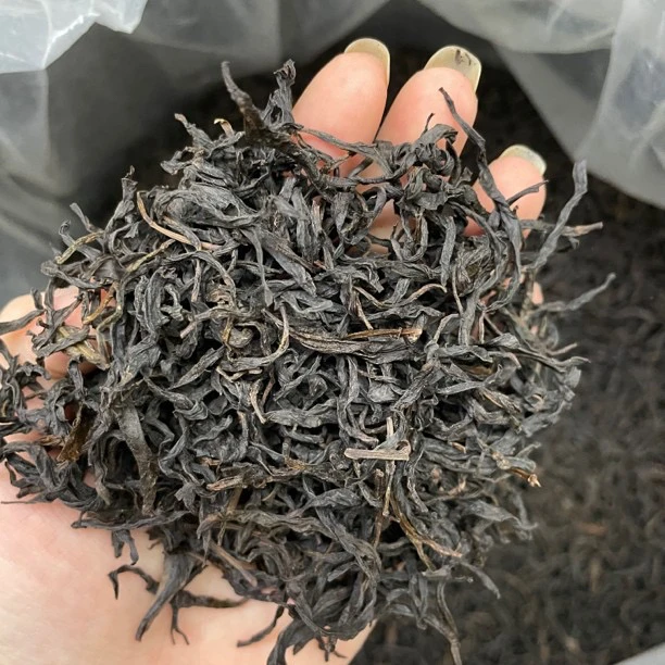 凤凰单丛 乌岽老丛蜜兰香 茶型雅 韵味十足 回甘好