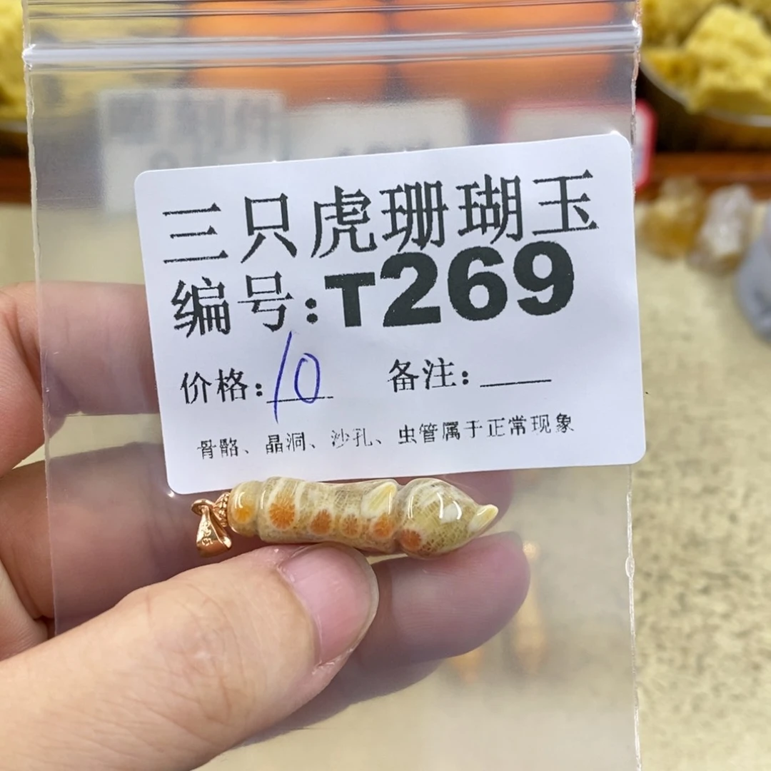 硅化珊瑚（珊瑚玉）1未镶嵌丁*