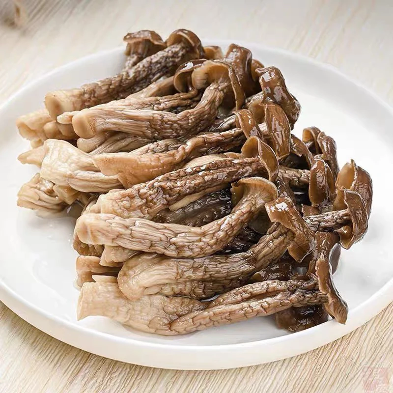 干货鹿茸菇可炒腊肉炖汤鲜香脆嫩