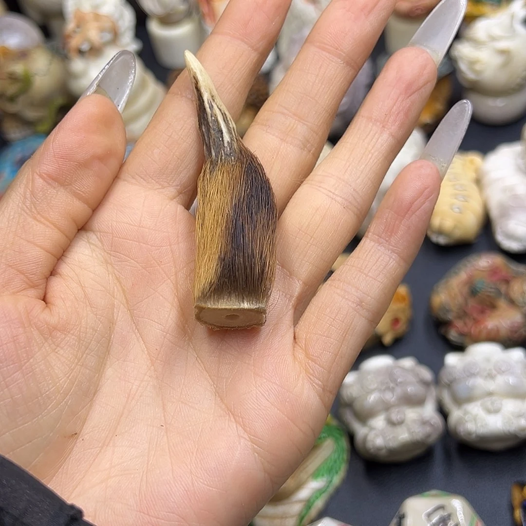 鹿骨手串/手链养殖鹿角