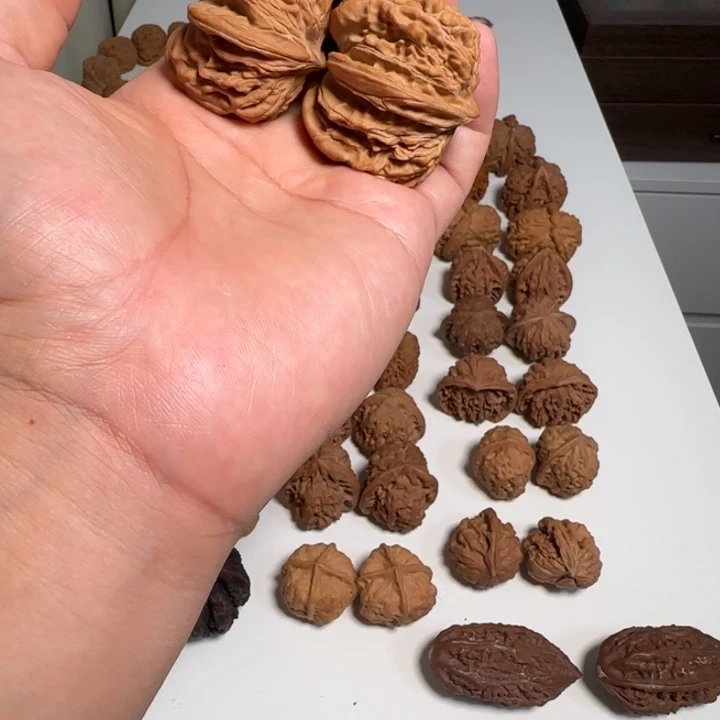 泽***活核桃核桃核桃核桃