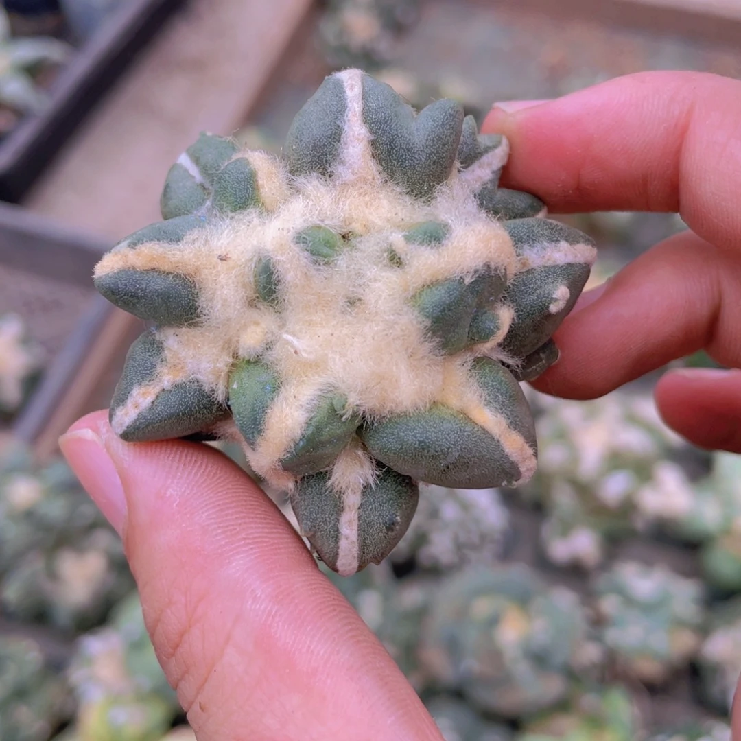 浅***雨福利福利福利福利