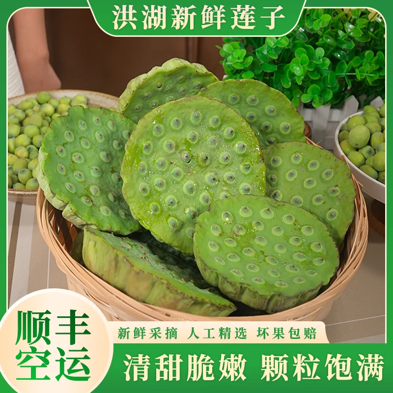 【顺丰空运】洪湖新鲜莲子应季水果现摘现发莲蓬甜嫩莲子米清香脆甜