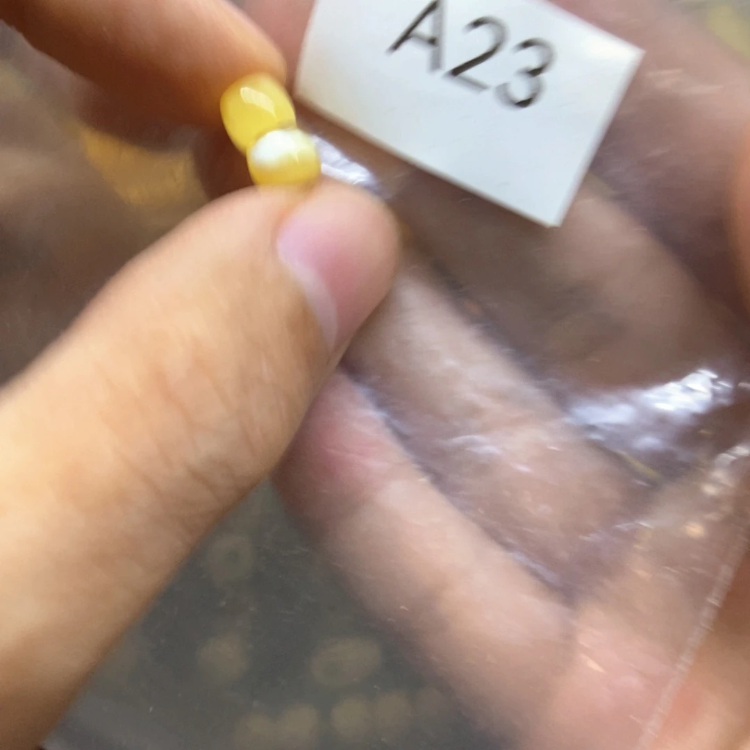 兮***寶裸石蜜蜡未镶嵌直发弟子珠