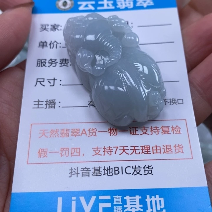 翡翠未镶嵌吊坠(不含链)多人貔貅
