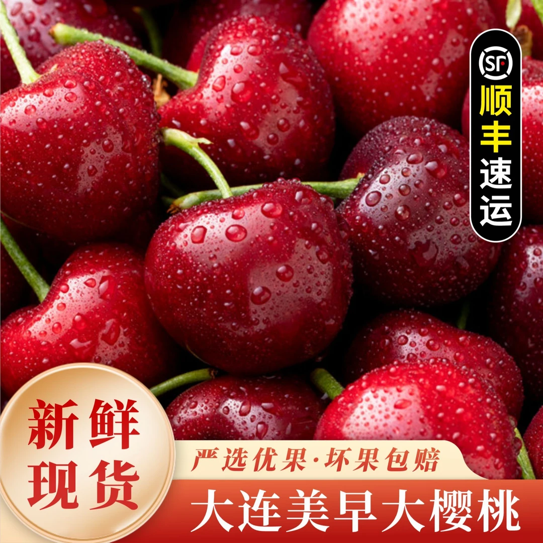 大连美早大樱桃现摘现发顺丰空运包邮1.8斤【2J-3J】
