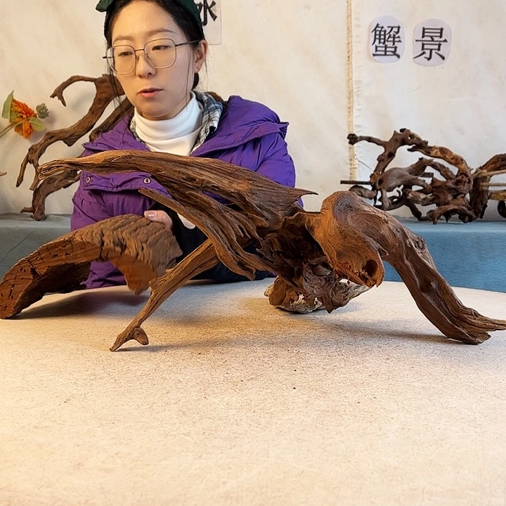 新年快乐沉木造景