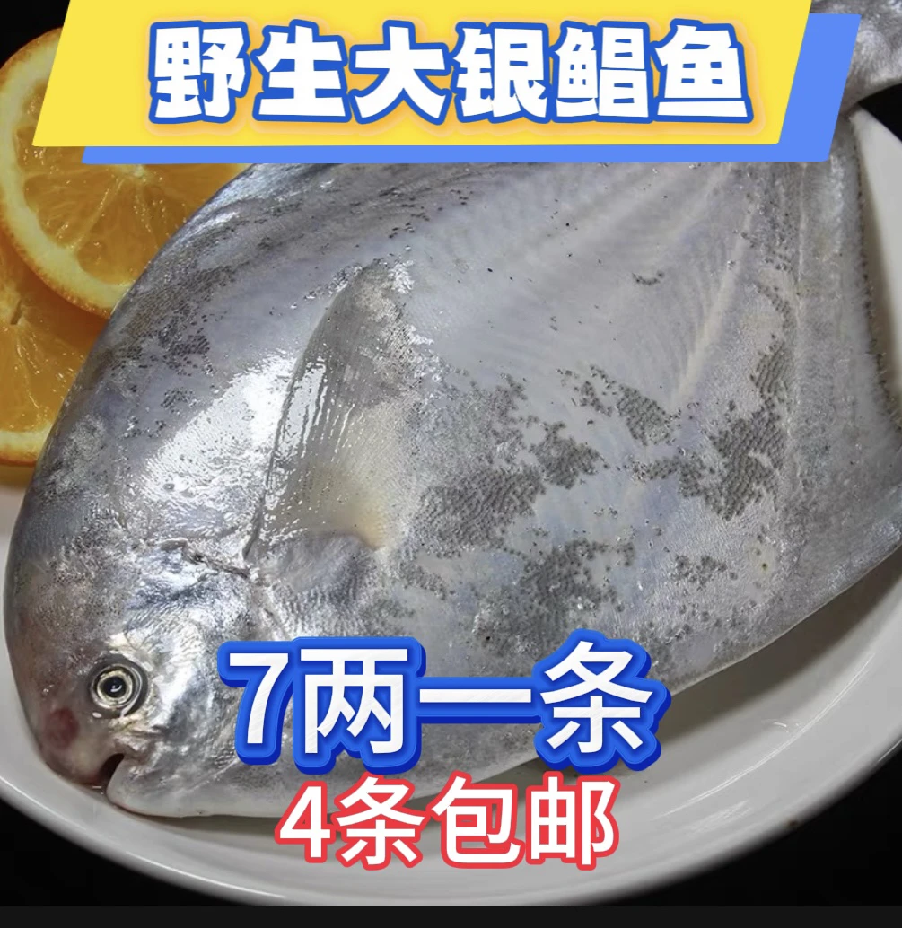深海银鲳鱼 大7两一条（到手4条）液氮锁鲜发货
