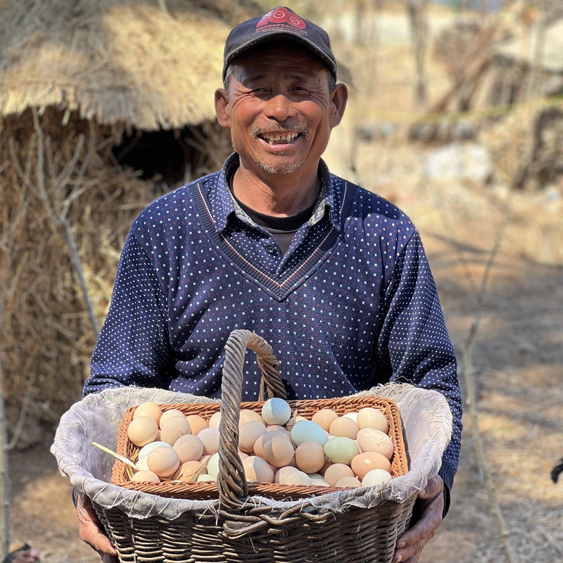 【50枚土鸡蛋】 沂蒙山农家散养土鸡蛋新鲜营养鲜蛋现捡30枚Y