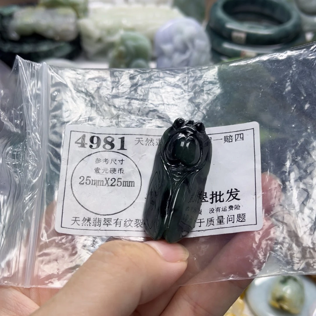 翡翠未镶嵌颈饰4981