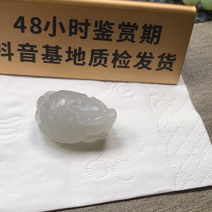 颈饰未镶嵌和田玉龙龟