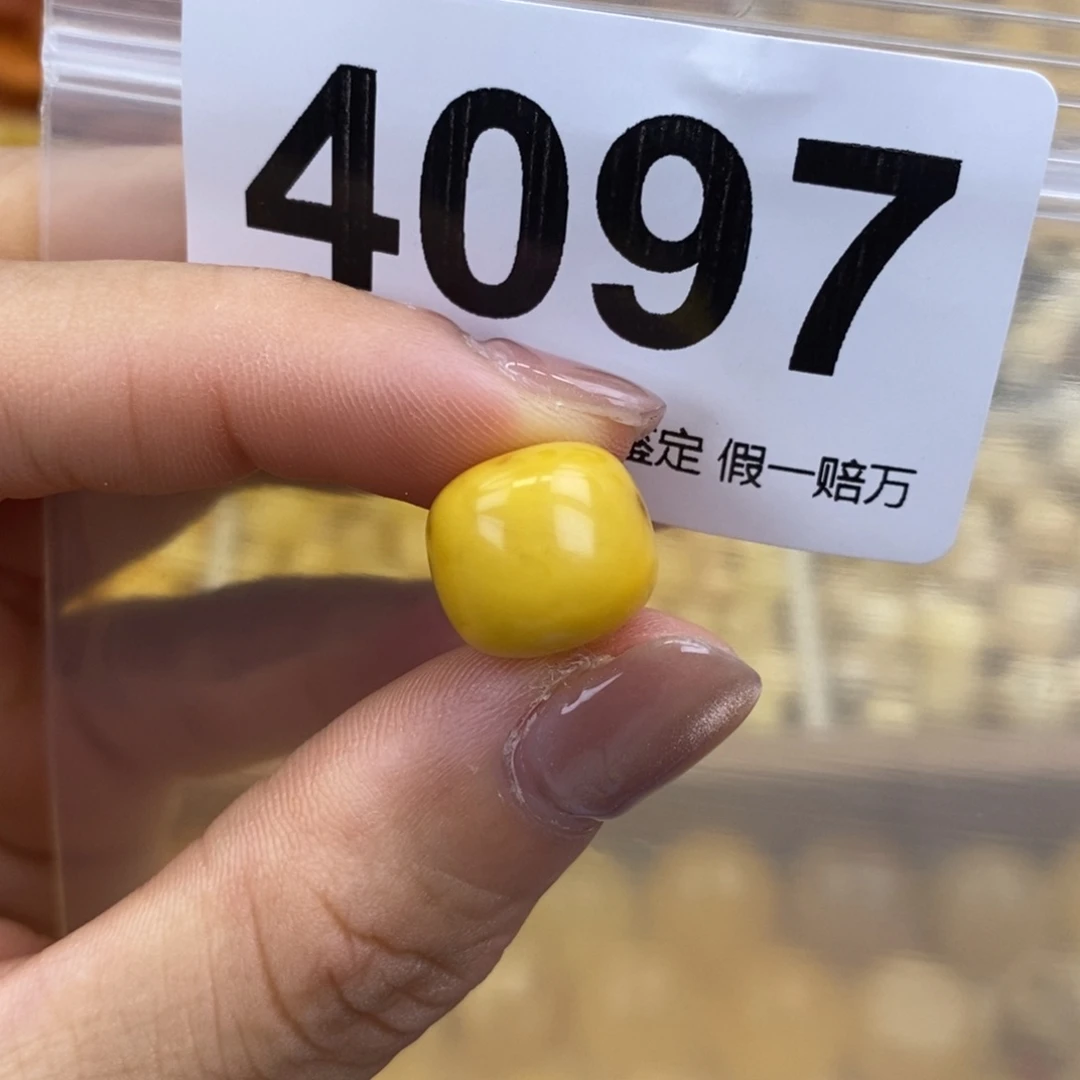 未镶嵌蜜蜡珠宝奇石12.5