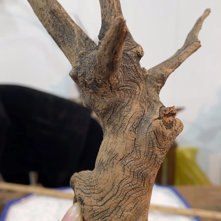 牧*人我们都是好孩子呀