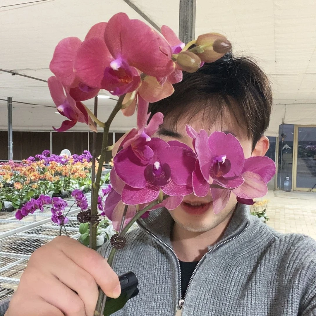 用***2完全开放蒙特布林迪