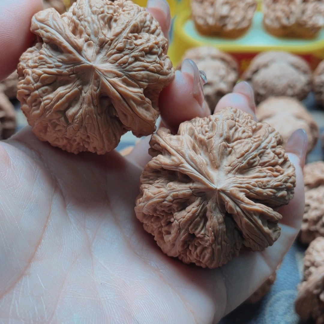 ****·桃核把件粗筋核桃