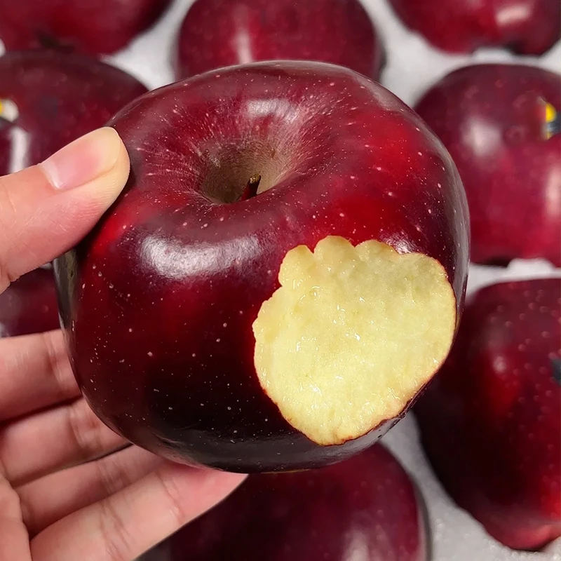 【陇优鲜】甘肃天水黑钻苹果4/4.5斤 小果/中果/大果