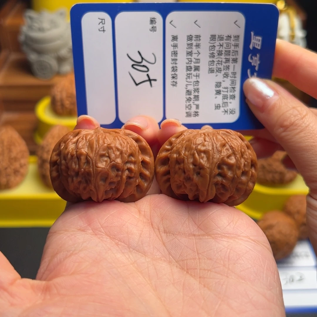 核桃305全品战鼓40尺