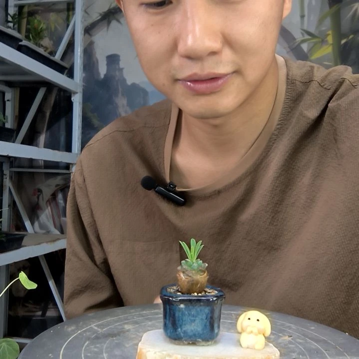 可****?中青园艺一物一拍146